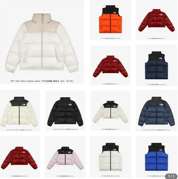 The North Face down jacket
