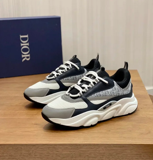 Dior B22
