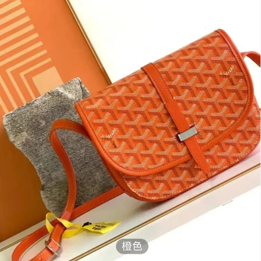 GOYARD bag
