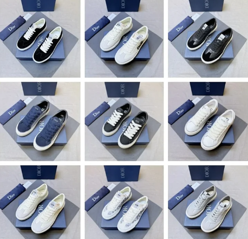 Dior B101 shoes