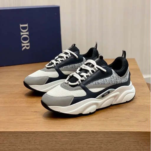 Dior B22