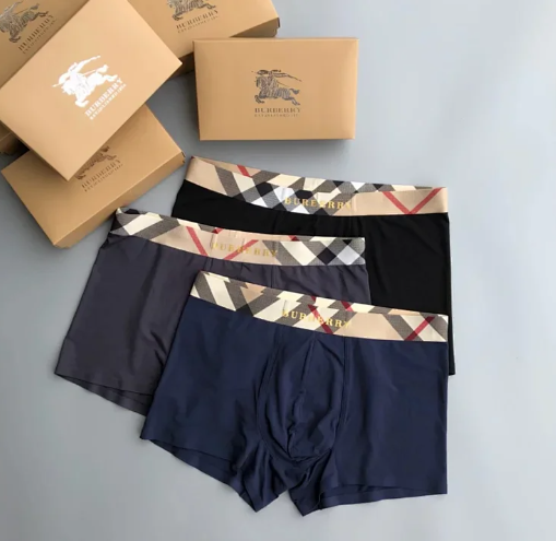 Burberry underwear