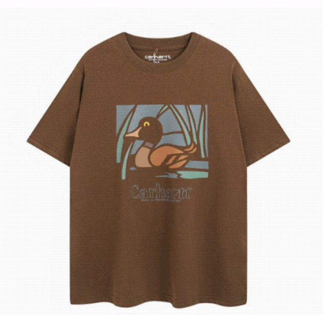 Carhartt T-shirt