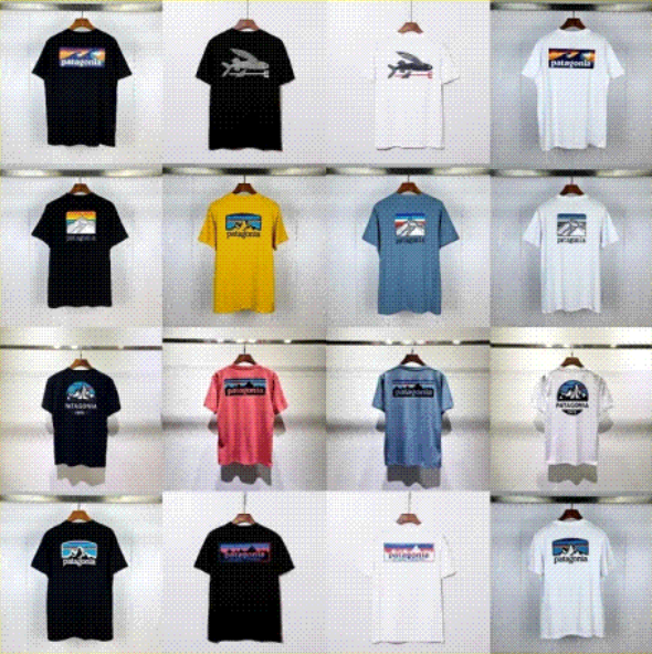 Patagonia T-shirt