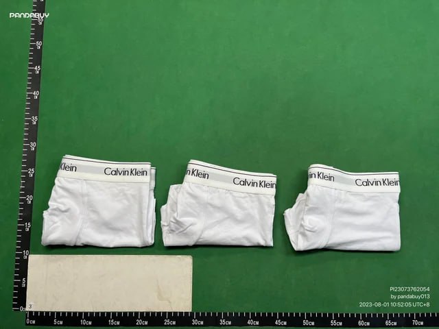 CK VERSCAE Underwear （30+）