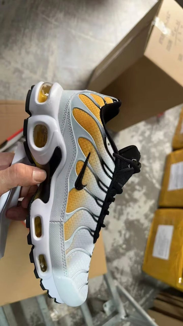 Nike Air Max Plus/Pegasus Premium shoes（10 STYLE OG）