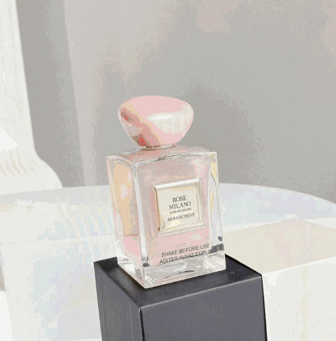 YSL/DIOR Brand Perfumes series