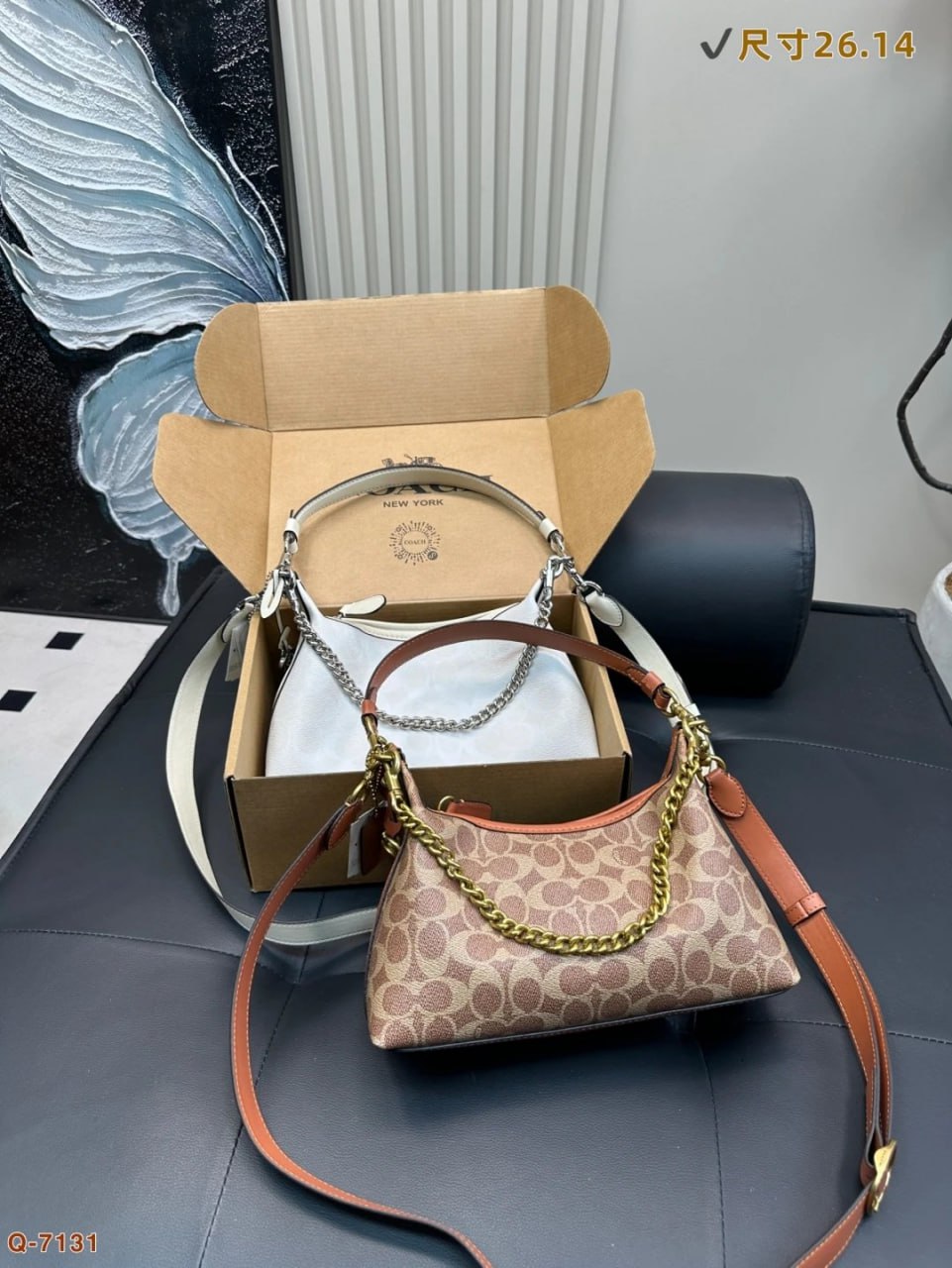COACH bag